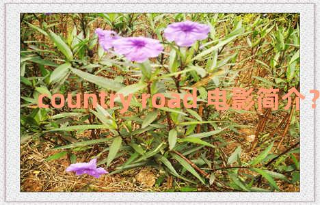 country road 电影简介？country line电影